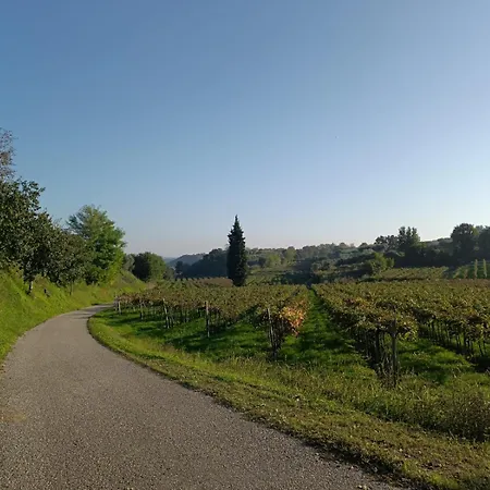 Residenza Gli Agrumi Del Garda - Dom wakacyjny Bardolino