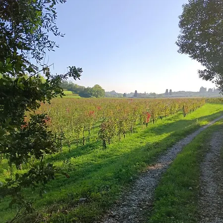 Residenza Gli Agrumi Del Garda - *